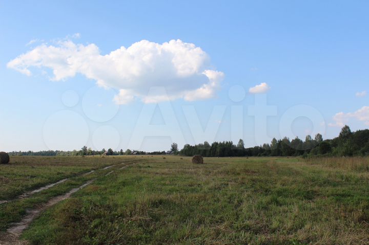 Участок 45 сот. (ИЖС)