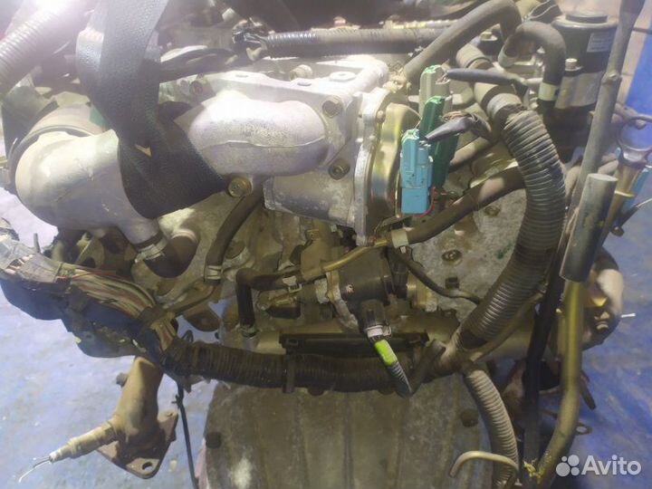 Двигатель Nissan Cedric MY34 VQ25DD 1999