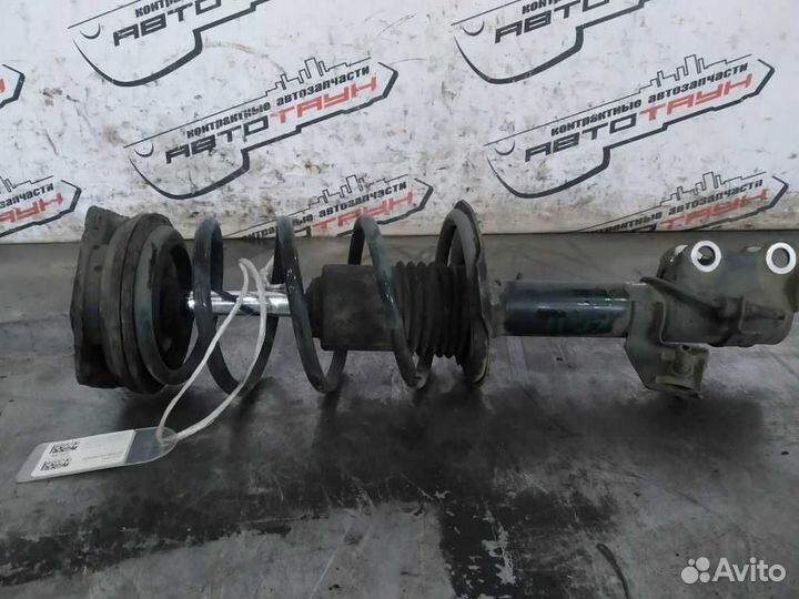 Стойка ходовки nissan bluebird sylphy G11 KG11 NG1