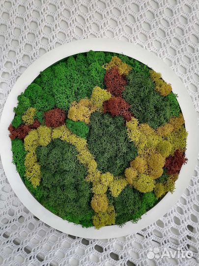 Интерьерное панно из мха