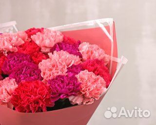 Букет из 25 диантусов (гвоздик) микс