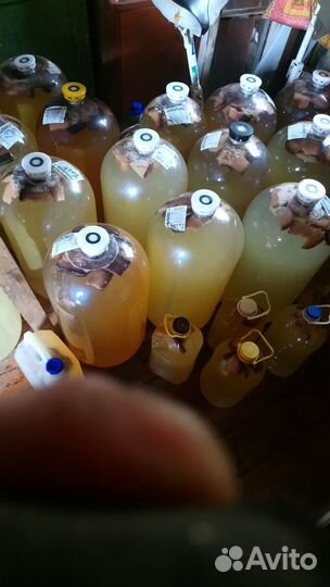 Березовый и кленовый квас