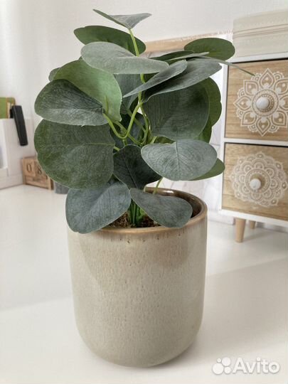 Кашпо и цветок Sinsay - декор