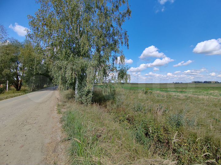 Участок 4,1 сот. (СНТ, ДНП)