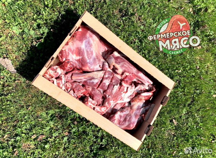 Мясо баранина