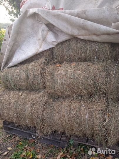 Сено в тюках