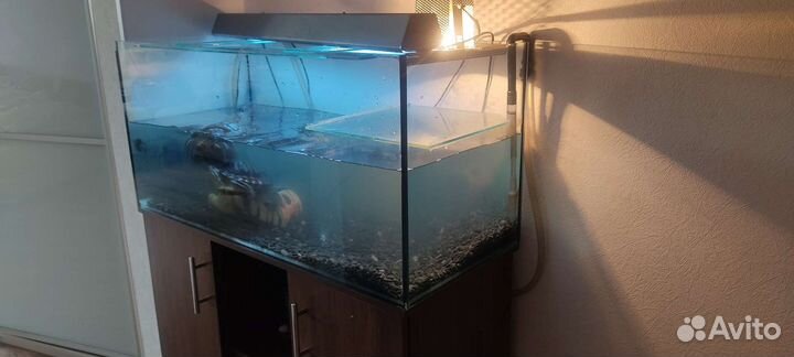 Аквариум 200л с тумбой и фильтром