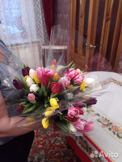 Луковицы тюльпанов