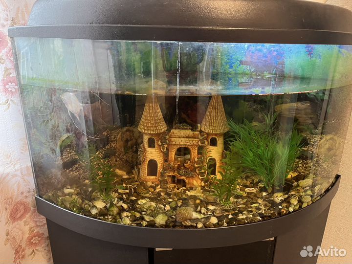 Аквариум с тумбой