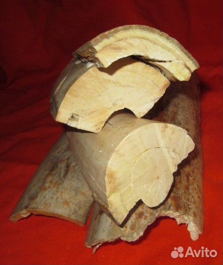 Бивень. Мамонт. Фрагменты на поделки. Интерьер