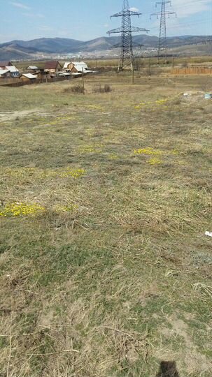 Участок 41 сот. (ИЖС)