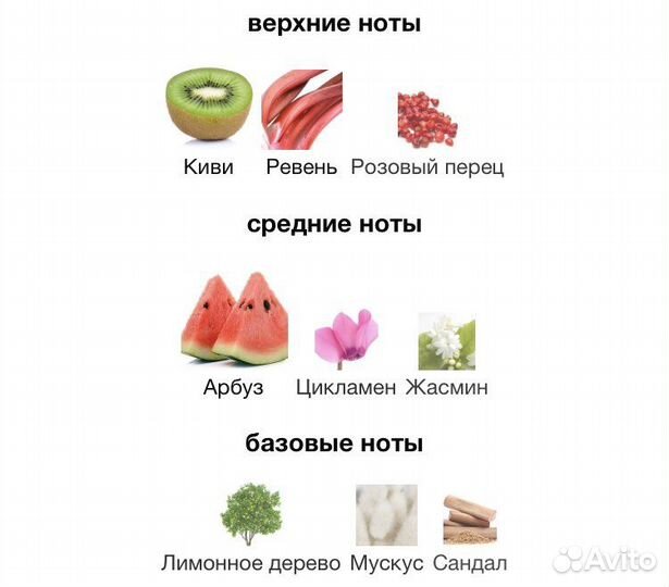 D&G Anthology L'Imperatrice 3 Dolce&Gabbana