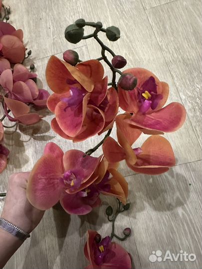 Орхидея фаленопсис real touch силикон