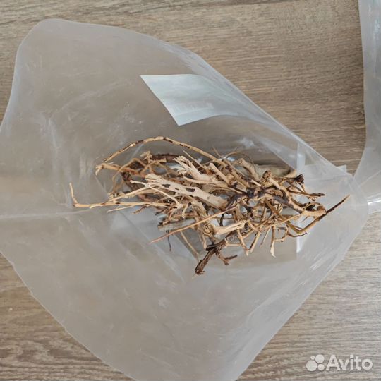 Коряга корни ветки