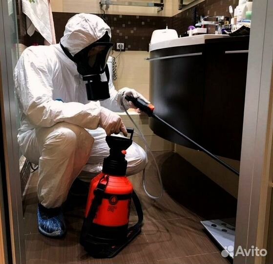Уничтожение клопов тараканов Холодным Туманом
