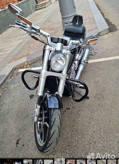 Harley-Davidson V-rod muscle 2013