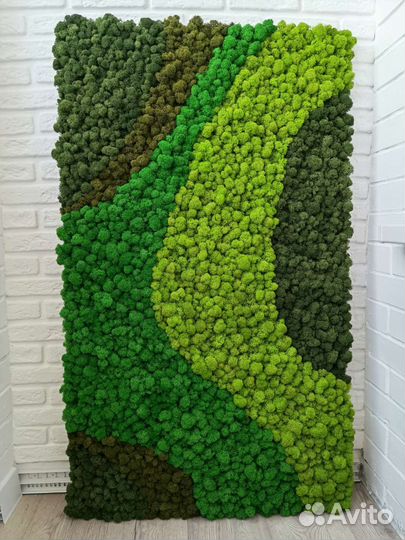 Озеленение стен, картин мхом стабилизированным