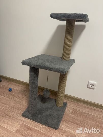 Когтеточка