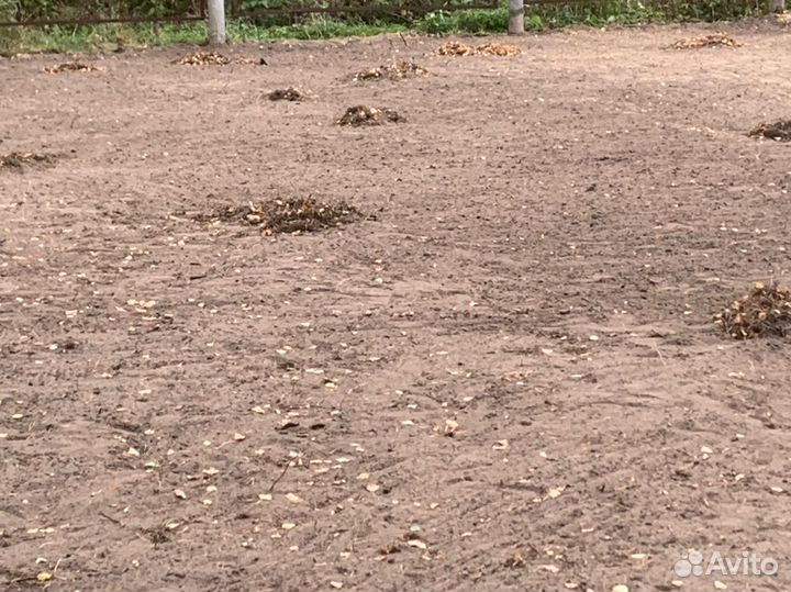 Услуги разнорабочих