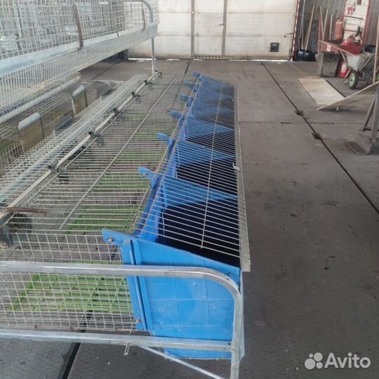 Клетки для кроликов