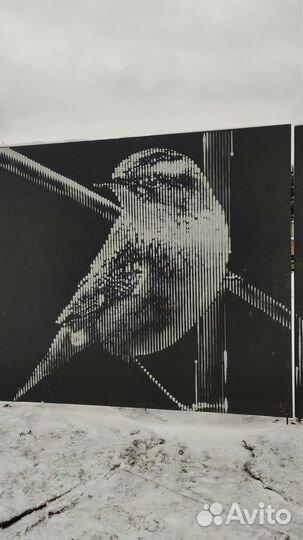 Граффити оформление, художественная роспись