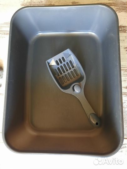 Лоток для кошек бу