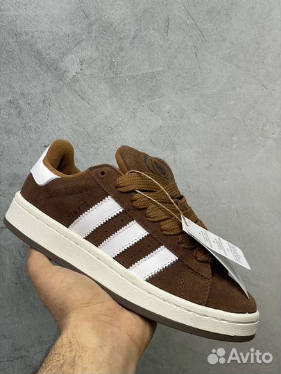 Adidas campus (37)