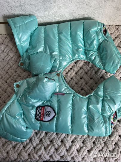 Одежда для собак