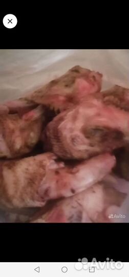 Куриные головы и ножки