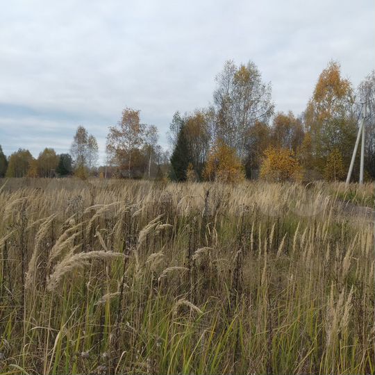 Участок 20 сот. (ИЖС)