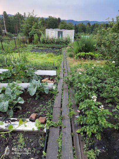 Дача 16 м² на участке 8 сот.