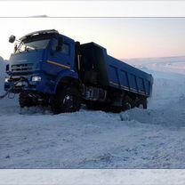 Привлекаем целевой займ в логистическую компанию, Душанбе