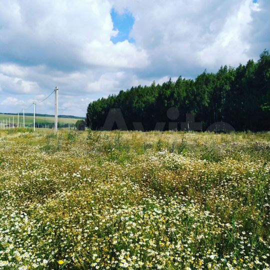 Участок 9 сот. (ИЖС)