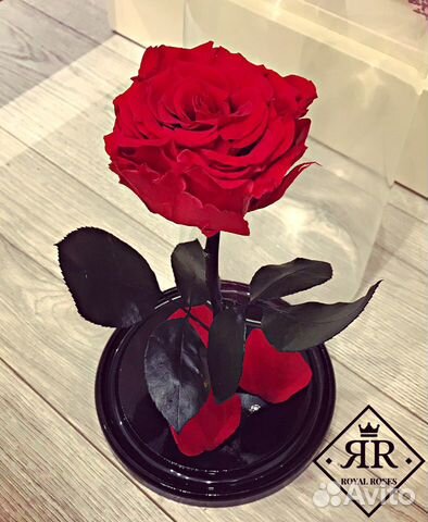 Роза в колбе