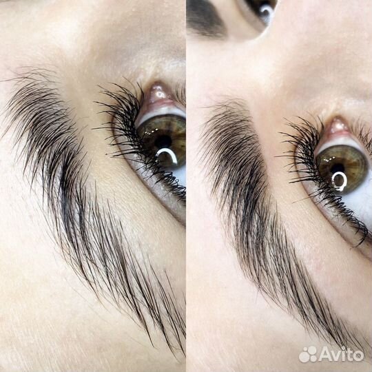 Обучение мастер бровист