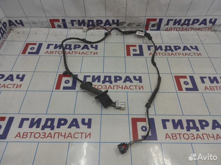 Проводка двери задней правой Geely Emgrand EC7 106