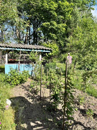 Участок 6 сот. (СНТ, ДНП)