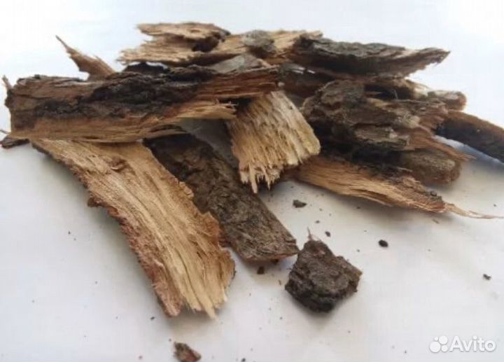 Дуб кора, Ива кора с Алтая