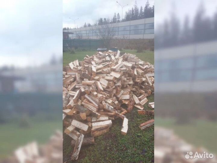 Дрова 5 кубов с доставкой