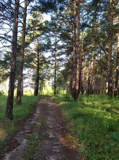 Дача 70 м² на участке 4 сот.