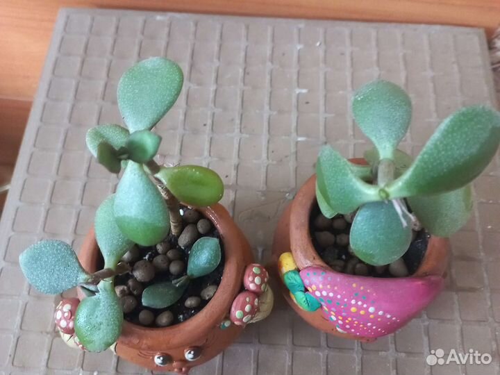 Керамические горшочки д/цветов (2 шт)