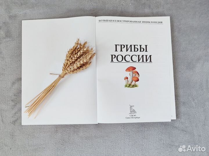 Энциклопедия Грибы России/книга грибы