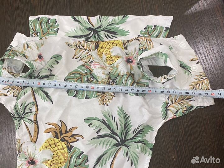 Кофта, шлейка, воротник, фонтан для собак и кошек