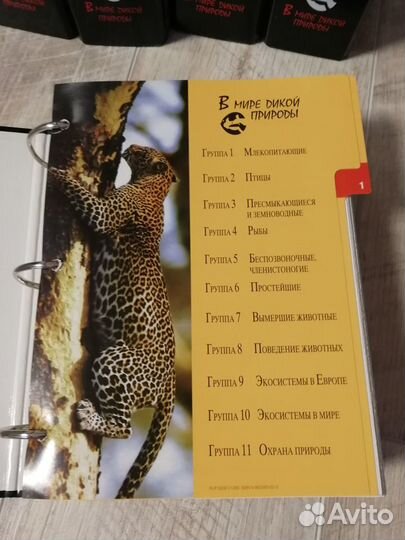Энциклопедия 