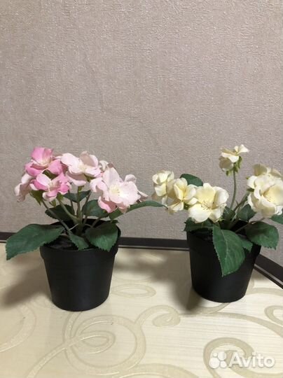 Фиалка искусственная, Икея