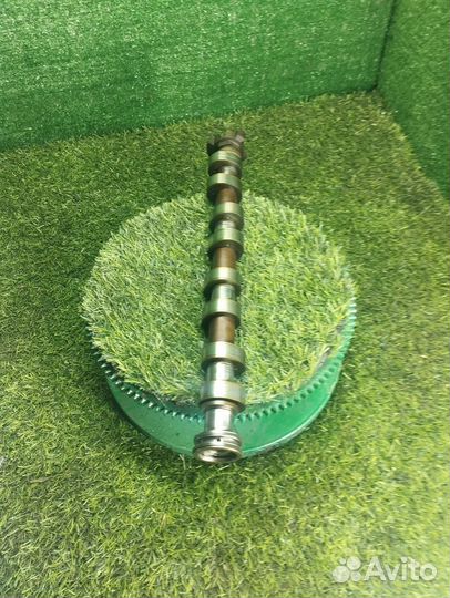 Распредвал впускной Пежо/Ситроен 1.6