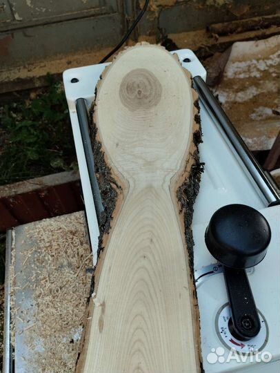 Спилы дерева