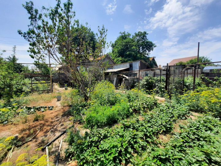 Дом 56 м² на участке 5,2 сот.