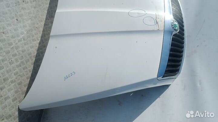 Капот Skoda Octavia