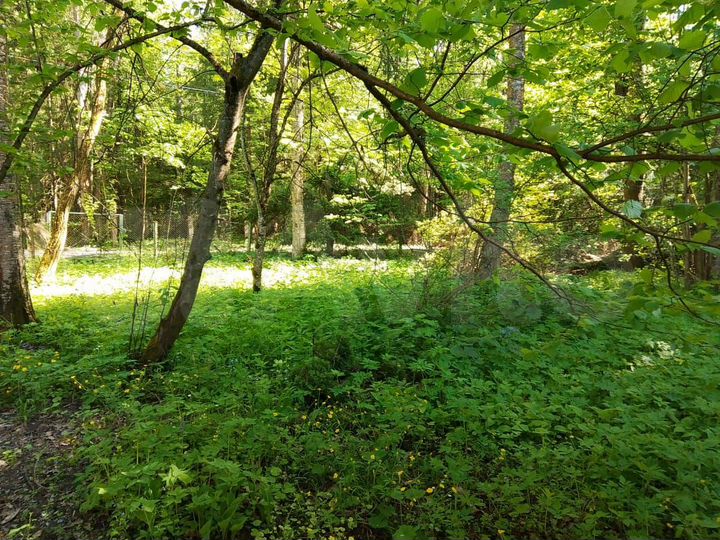 Дача 42 м² на участке 12 сот.